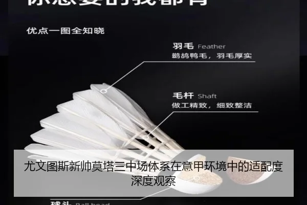 尤文图斯新帅莫塔三中场体系在意甲环境中的适配度深度观察